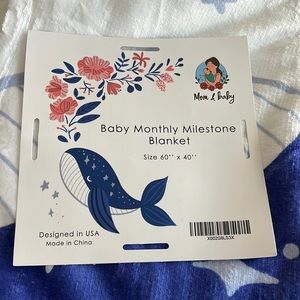 Baby monthly milestone blanket